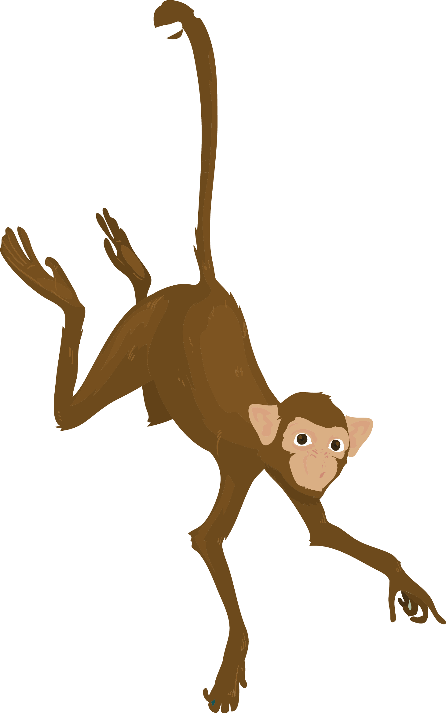 Ein Affe