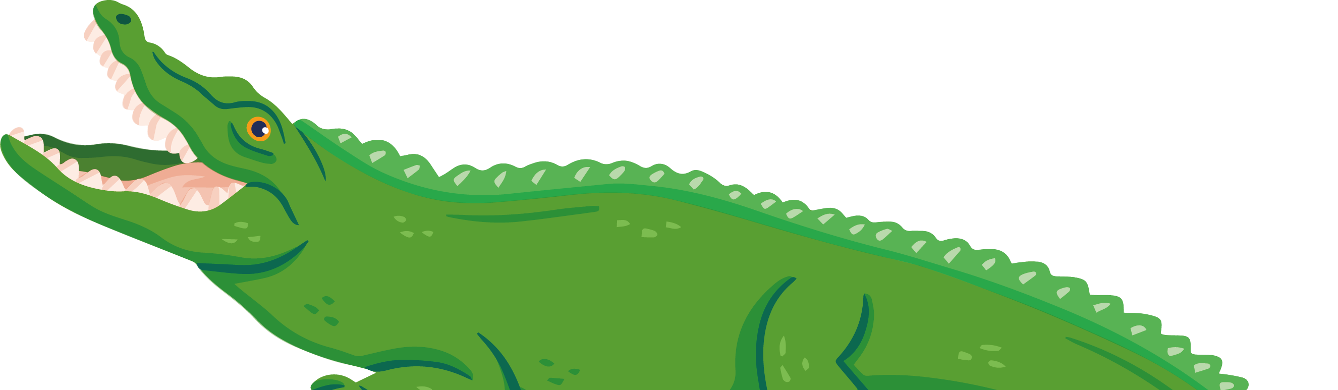 Ein Krokodil