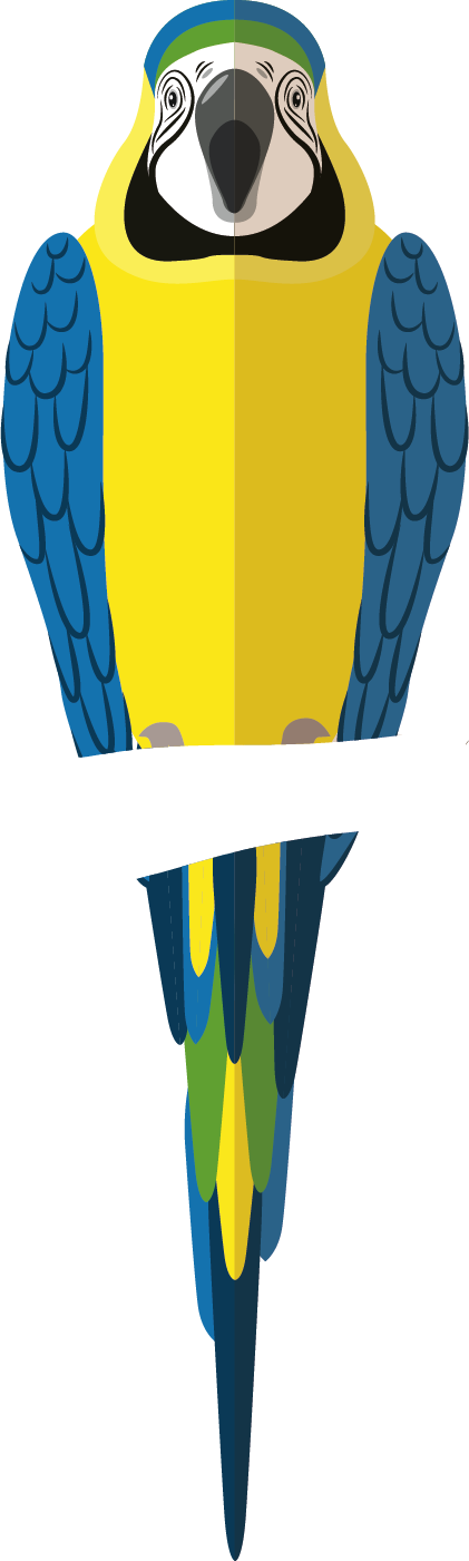 Ein Papagei