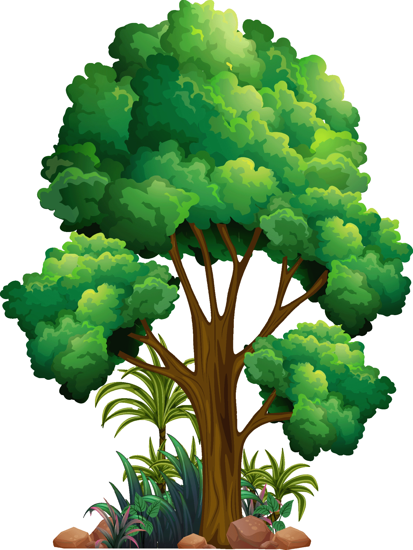 Großer Regendwaldbaum.