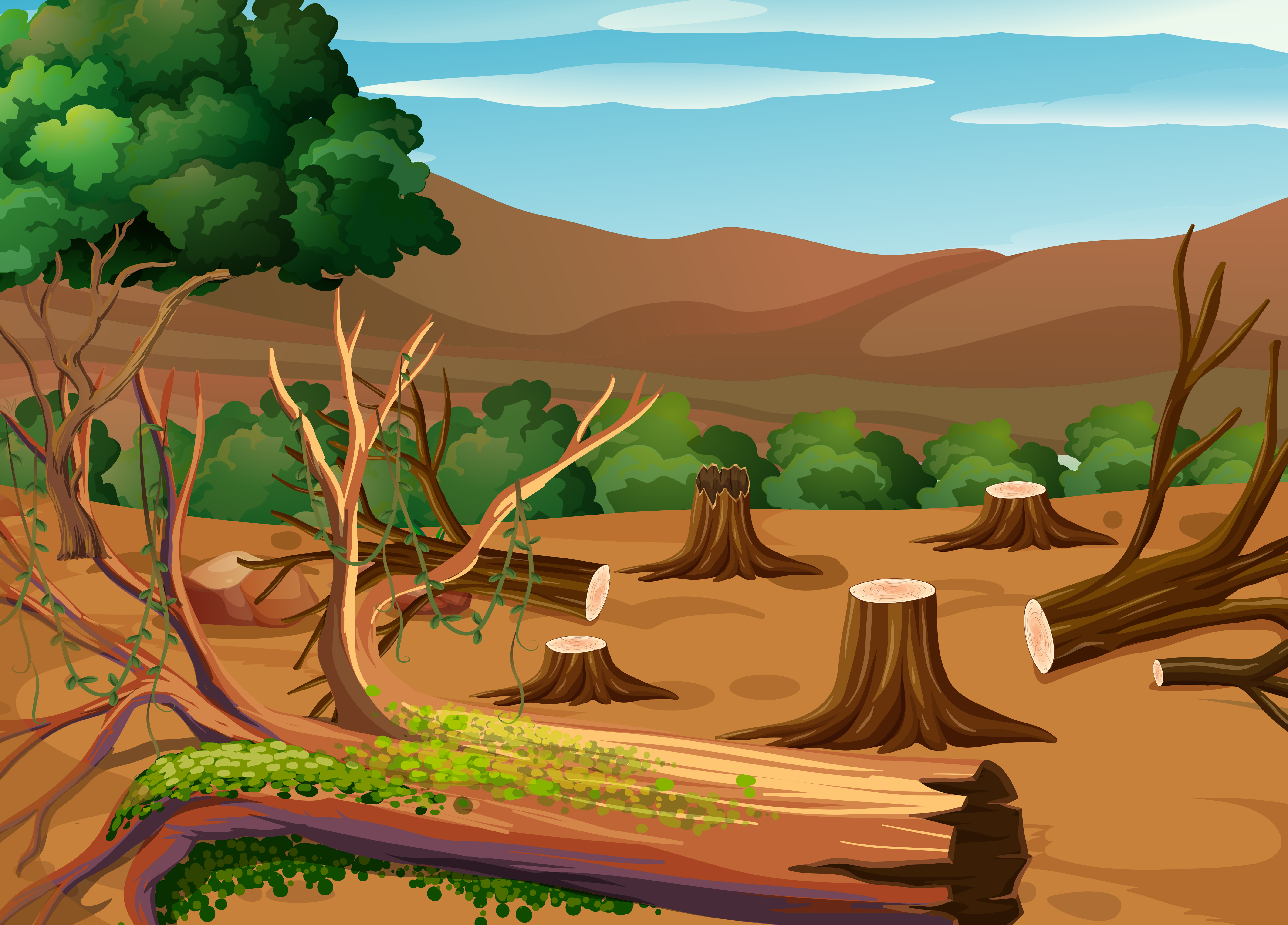 Eine Landschaft mit abgeholzten Bäumen.